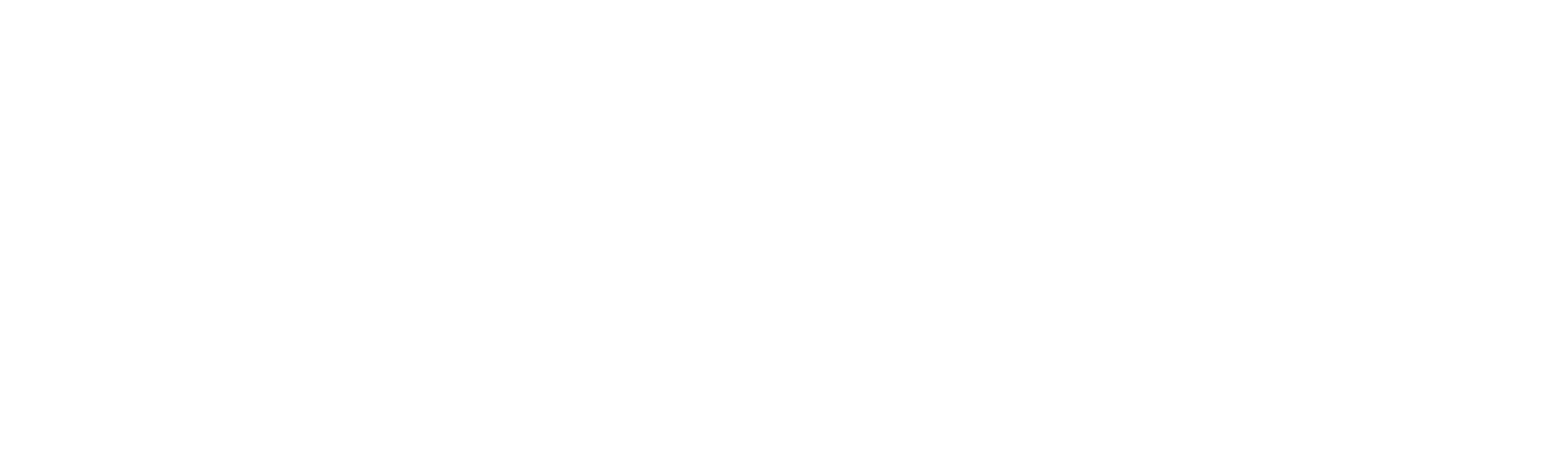 Netolyst